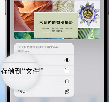 全州apple维修中心分享iPhone文件应用中存储和找到下载文件