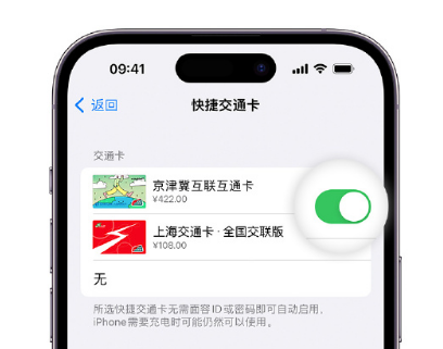 全州apple维修点分享iPhone上更换Apple Pay快捷交通卡手绘卡面 