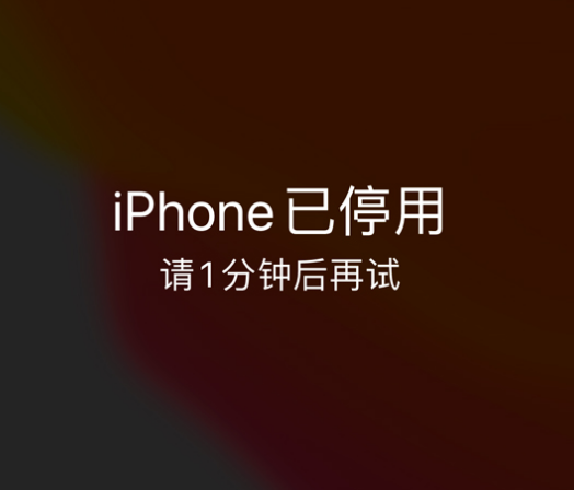 全州苹果手机维修分享:iPhone 显示“不可用”或“已停用”怎么办？还能保留数据吗？ 