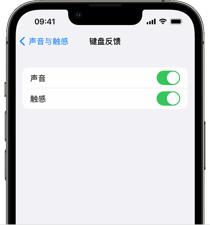 全州苹果14维修店分享如何在 iPhone 14 机型中使用触感键盘 