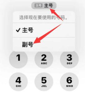 全州苹果14维修店分享iPhone 14 Pro Max使用副卡打电话的方法 