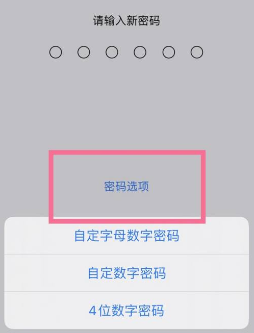 全州苹果14维修分享iPhone 14plus设置密码的方法 