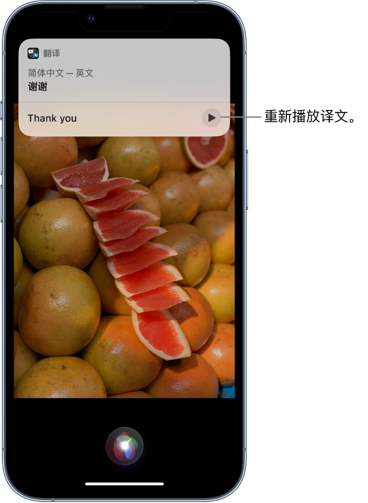 全州苹果14维修分享 iPhone 14 机型中使用 Siri：了解 Siri 能帮你做什么 