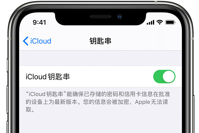 全州苹果手机维修分享在 iPhone 上开启 iCloud 钥匙串之后会储存哪些信息 