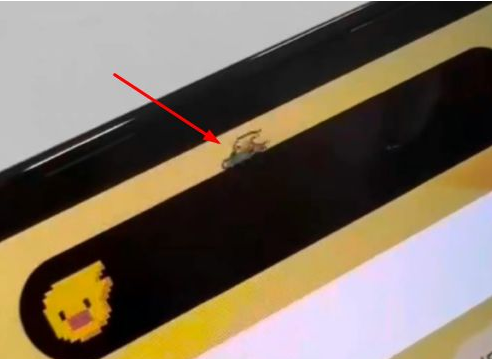 全州苹果14维修分享iPhone 14 Pro Max灵动岛怎么养宠物 