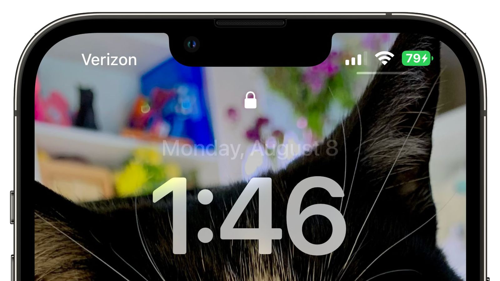 全州苹果手机维修分享iOS 16 beta 5 支持状态栏显示电池百分比，如何开启？支持哪些机型 