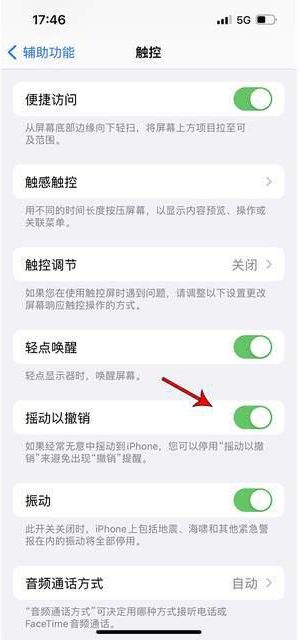 全州苹果手机维修分享iPhone手机如何设置摇一摇删除文字 