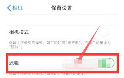 全州苹果13维修分享iPhone13拍照有绿点是怎么回事 