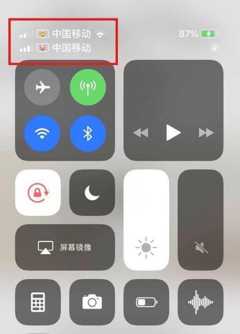全州苹果手机维修分享为 iPhone 12 双卡设置标签 